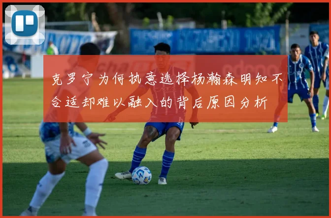 克罗宁为何执意选择杨瀚森明知不合适却难以融入的背后原因分析